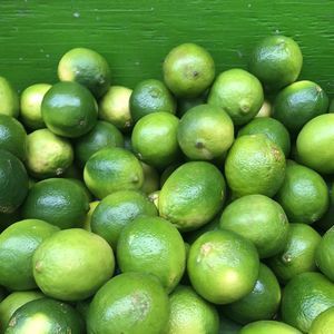 Meet your Posher, Juan